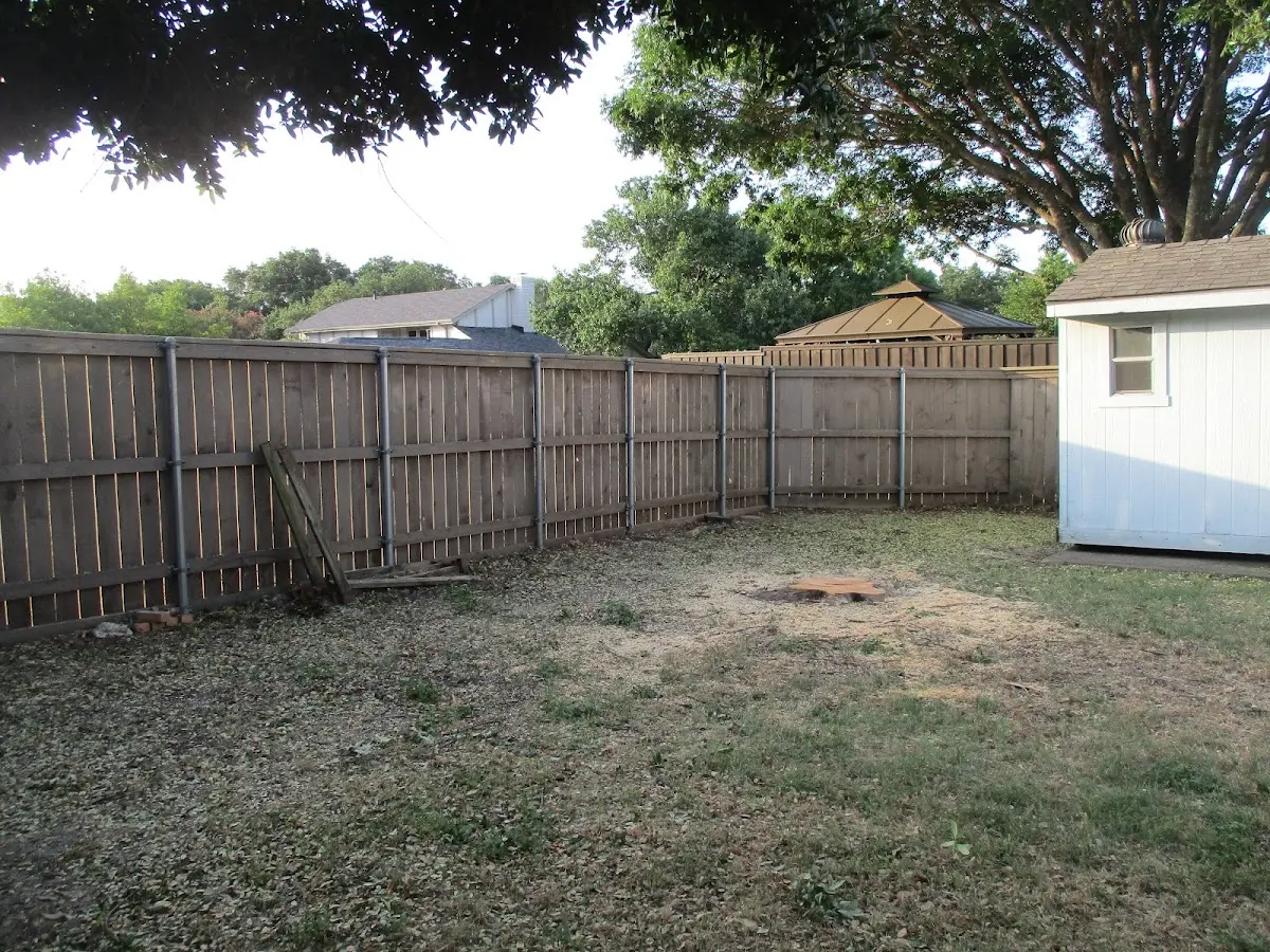 Cleared yard after professional tree removal in South Portsmouth